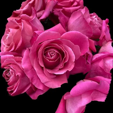 Mi Casita Azul 아파트 *