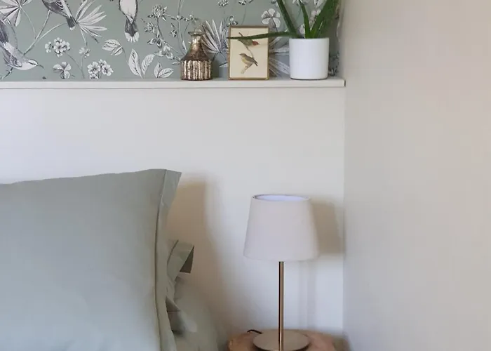 Mi Casita Azul Apartment