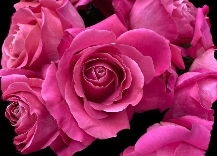 Mi Casita Azul Apartment *